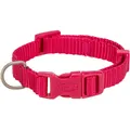 Halsband PREMIUM – Fuchsia S: 25–40 cm/15 mm